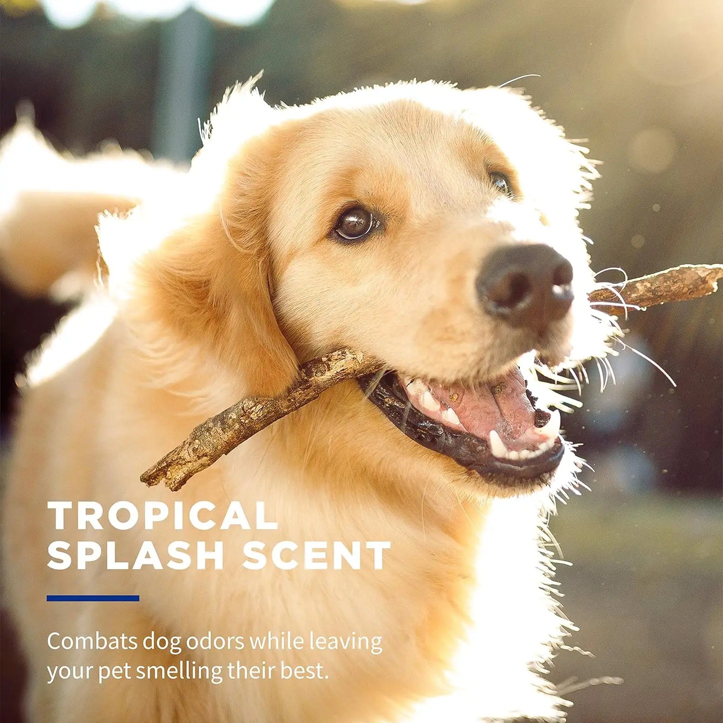 Dog Wipes with Baking Soda, Tropical Splash Scent - 50 Count