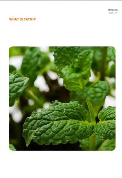 Pet Catnip Toys Edible Catnip Ball Safety Healthy Cat Mint Cats Home Chasing Game Toy Products Clean Teeth Cat Mint Ball
