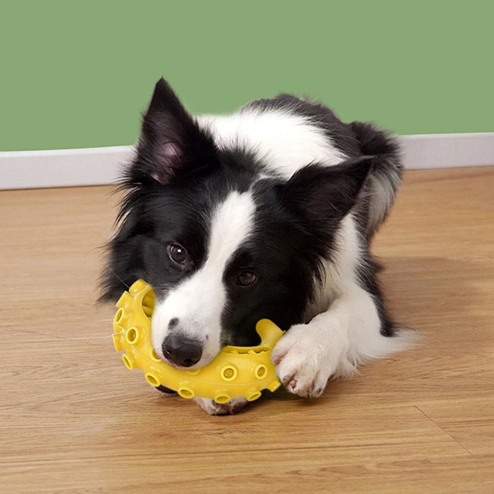 Tpr Pet Dog Toys For Small Medium Dogs Bite Resistant Dog Chew Toys Dog Teeth Cleaning Toys Pet Supplies