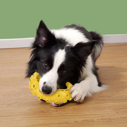 Tpr Pet Dog Toys For Small Medium Dogs Bite Resistant Dog Chew Toys Dog Teeth Cleaning Toys Pet Supplies