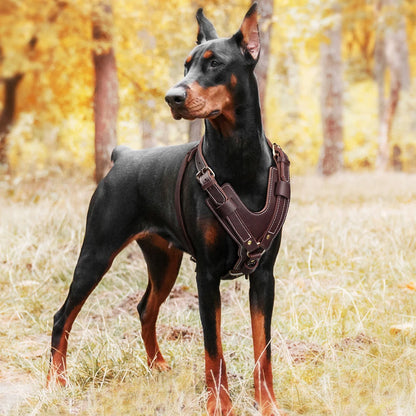 Durable Genuine Leather Dog Harness Large Dog Harness Vest Adjustable Strap for German Shepherd Labrador Husky Walking Training
