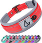 Solid Dog Collars Nylon Dog Collar For Small Medium Large Dogs Teddy Keji Pitbull Bulldog Beagle