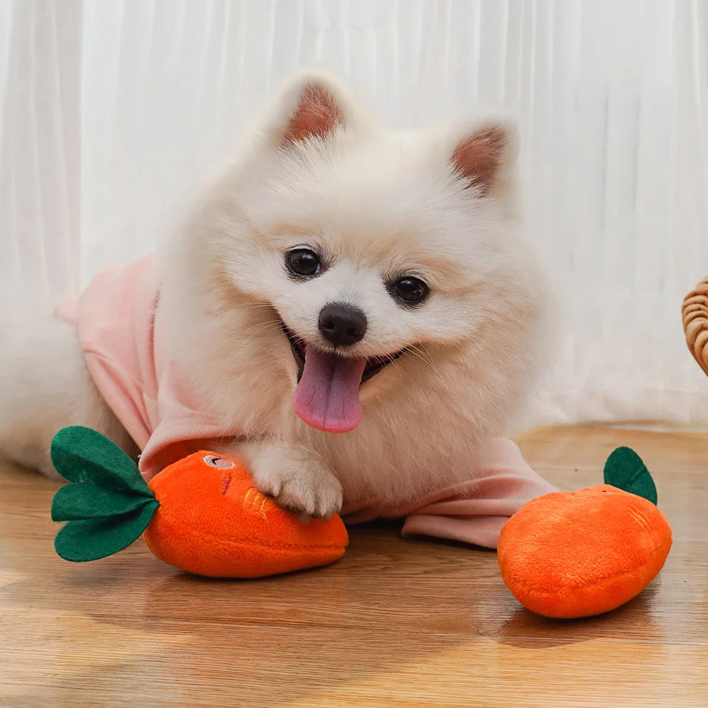 Cute Bone Chicken Leg Fruit Carrot Plush Pet Toys Squeaky Durable Chew Toys for Dogs Cats Interactive Bite Resistant Teething Pe