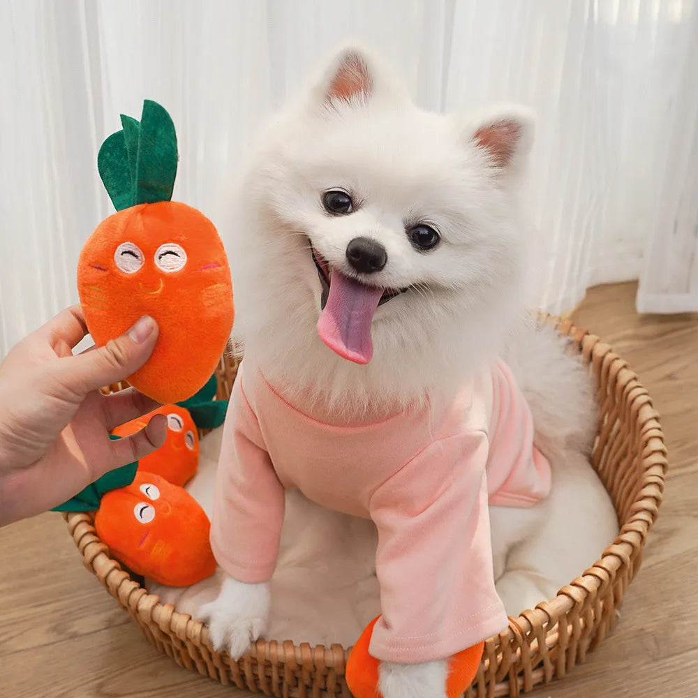Cute Bone Chicken Leg Fruit Carrot Plush Pet Toys Squeaky Durable Chew Toys for Dogs Cats Interactive Bite Resistant Teething Pe