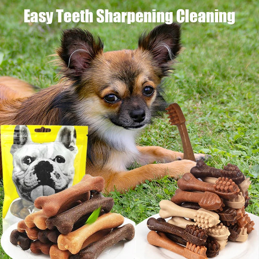 Bone-Shaped Dog Dental Chew Stick – Natural Toothbrush Treat for Puppies & Adult Dogs - Pet Suppie