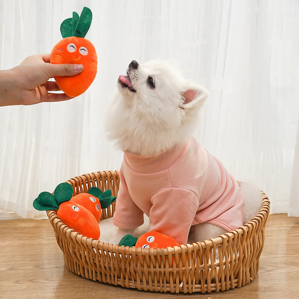 Cute Bone Chicken Leg Fruit Carrot Plush Pet Toys Squeaky Durable Chew Toys for Dogs Cats Interactive Bite Resistant Teething Pe