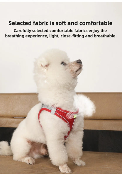 Pet Things Cat Accessories Cute Adjustable Cat Collar and Leash Set for Walking Safe Reflective Soft Comfortable Vest