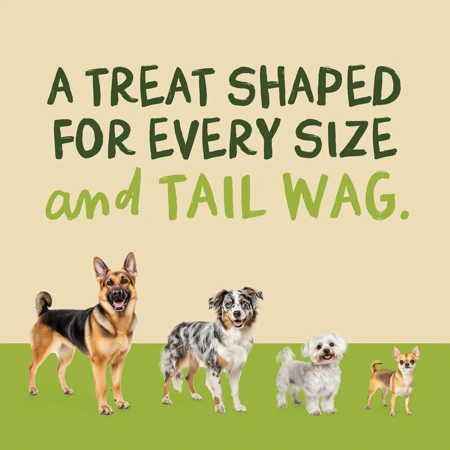 Beef Jerky Dog Treats, Premium Quality Raw Protein Warps for Dogs, Bite-Sized Training Treats & Food Topper, Cat Friendly