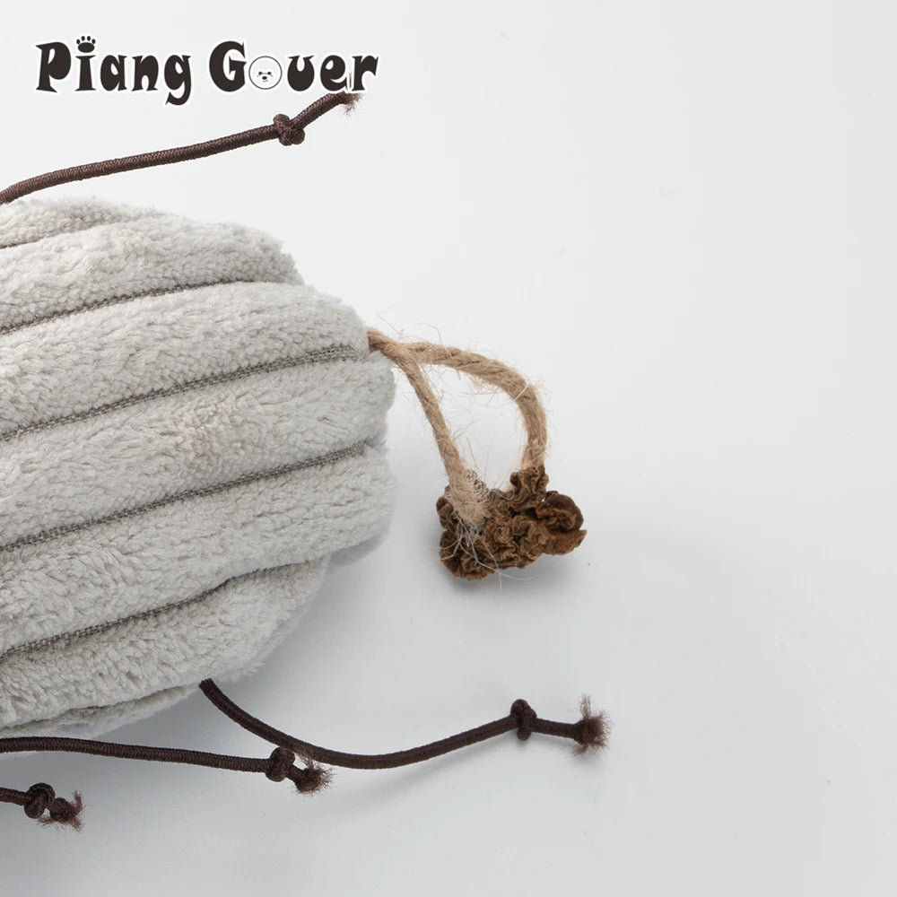 Cat Toy Plush Cockroach Pet Toy Interaction Kitty Toy Catnip Pet Supplies