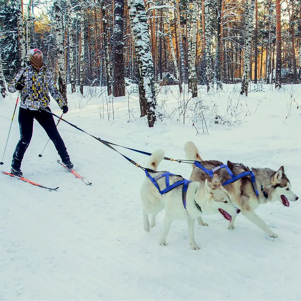 Dog Sledding Harness Refletive Pet Weight Pulling Sled Harness Vest For Medium Large Dogs Husky Canicross Skijoring Scootering