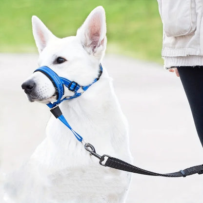 2-Pack Adjustable Nylon Dog Muzzles with Reinforced Stitching–Leader Halter with Safety Strap for Training and Pull-Free Walks