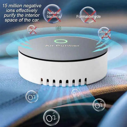 Air Purifier Negative Ion Filtration System Pet Carpet Bathroom Smoke Odor Deodorant Pet Odor Eliminator  Electronic Deodorizer