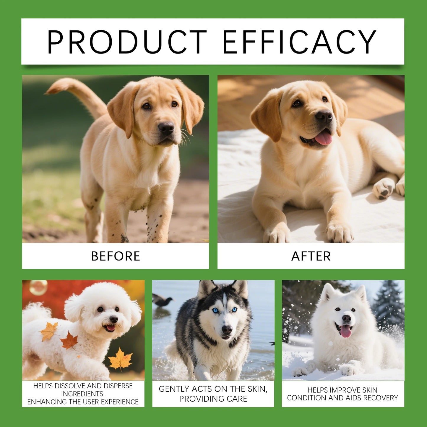 Yegbong Dog Skin Spray – Thoughtful protection, gentle and fast-acting care for skin discomfort, clean and comfortable spray