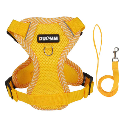 Escape Proof Cat Harness with Leash, Reflective Adjustable Mesh Vest for Cats and Kittens, Safe Outdoor Walking Training Harness