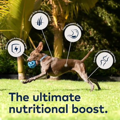 Peak Air-Dried Dog Food – Chicken - All Natural, High Protein, Grain Free, Limited Ingredient w/ Superfoods (35.2oz)