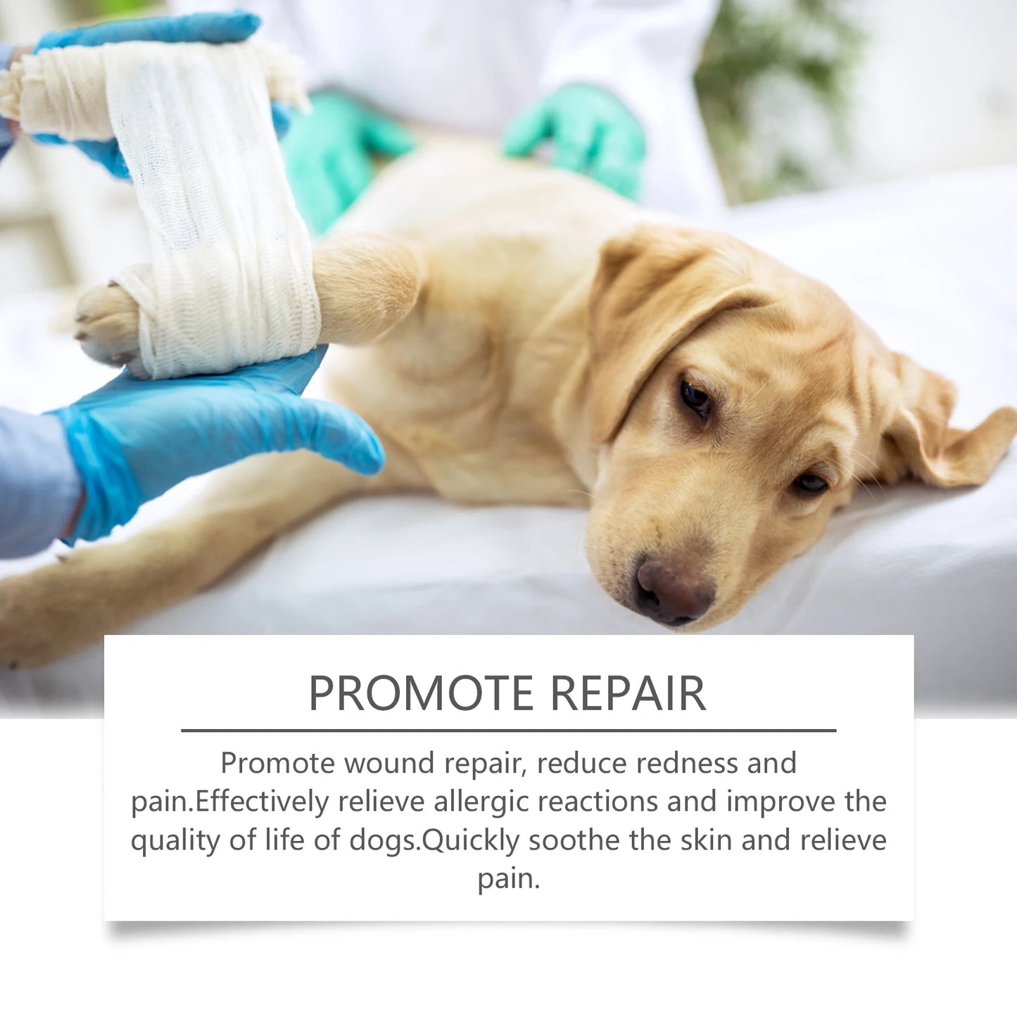 YEGBONG 100ML Dog Care Spray Gentle Cleaning Plant Extracts Skin Nourishing Vet Recommended Multi Purpose for All Breed All Life