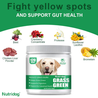 Grass Green Dog Chews - Lawn Urine Neutralizer, Reduces Urine Burns to Grass, Keeps Grass Green, Maintains Intestinal Health