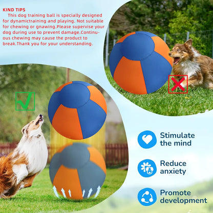 Dog Giant Toy Ball Large Pet Outdoor Training Supplies Children's Interactive Game Toys Interest Play Balls Dog Like Colors Ball