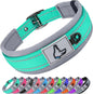 Solid Dog Collars Nylon Dog Collar For Small Medium Large Dogs Teddy Keji Pitbull Bulldog Beagle