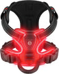 LED Glowing Luminous Dog Harnesses Essential for Dog Walking Safety At Night Dog Vest with Three LED Light Modes Rechargeable