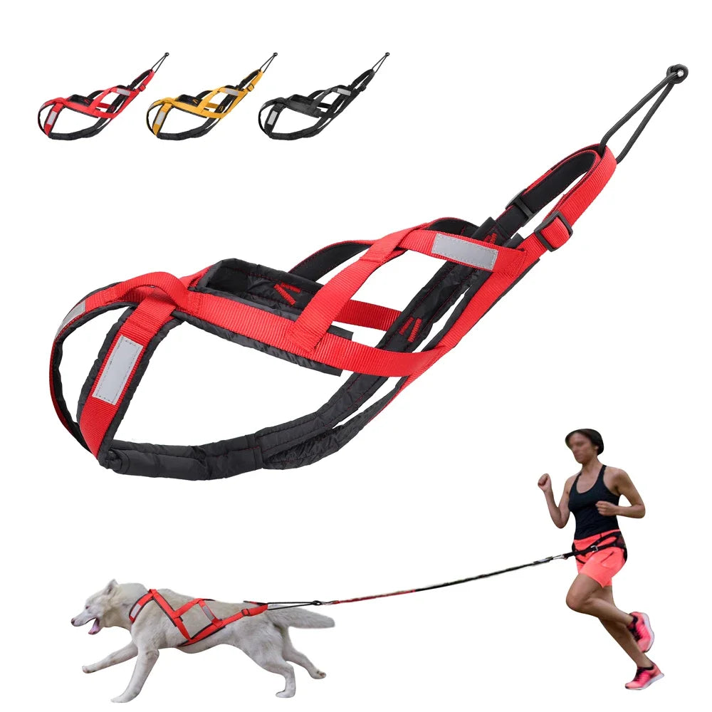 Sled Dog Pulling Car Leash Waterproof Night Reflective Dog Chest Harness Big Large Dog Weighted Rally Vest Pet Training Supplies