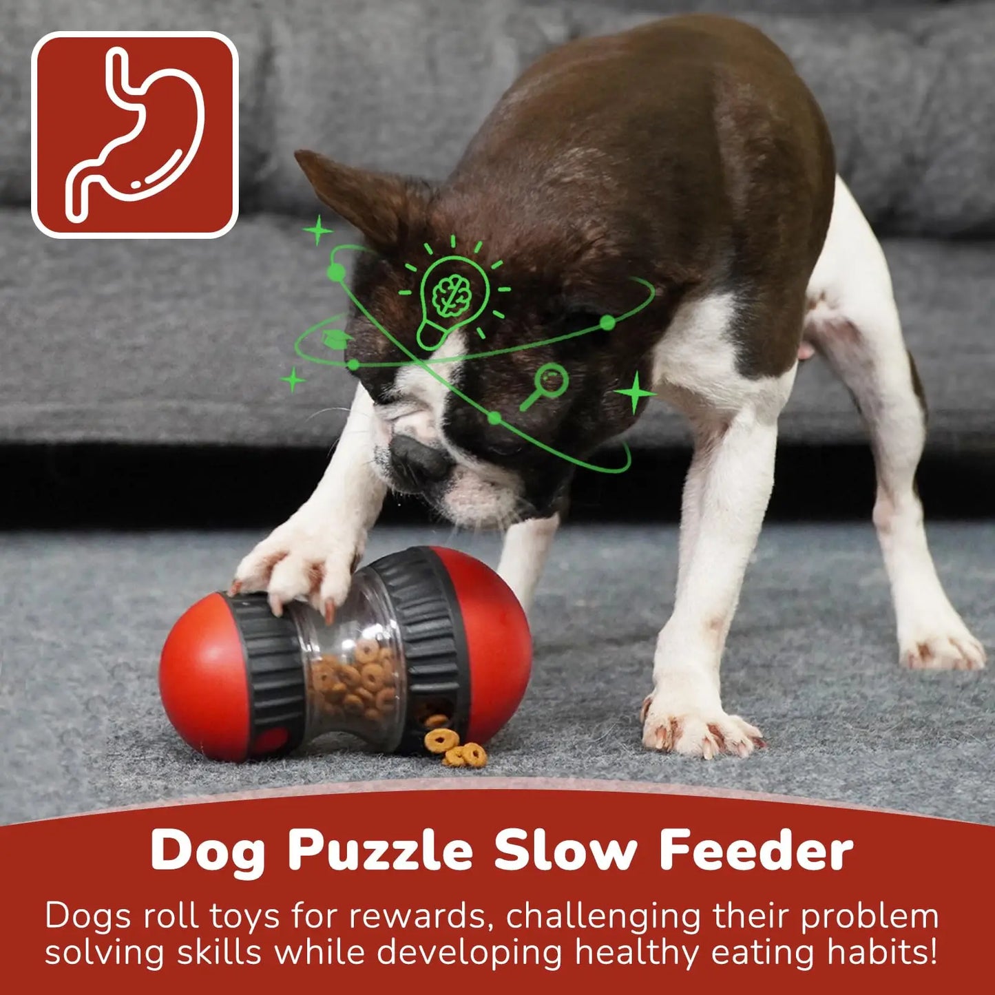 Dog Puzzle Toy Elliptical Track Rolling Increase Intelligence Ball Leaky Food Develop Good Habits Durable Interactive Pet Toys