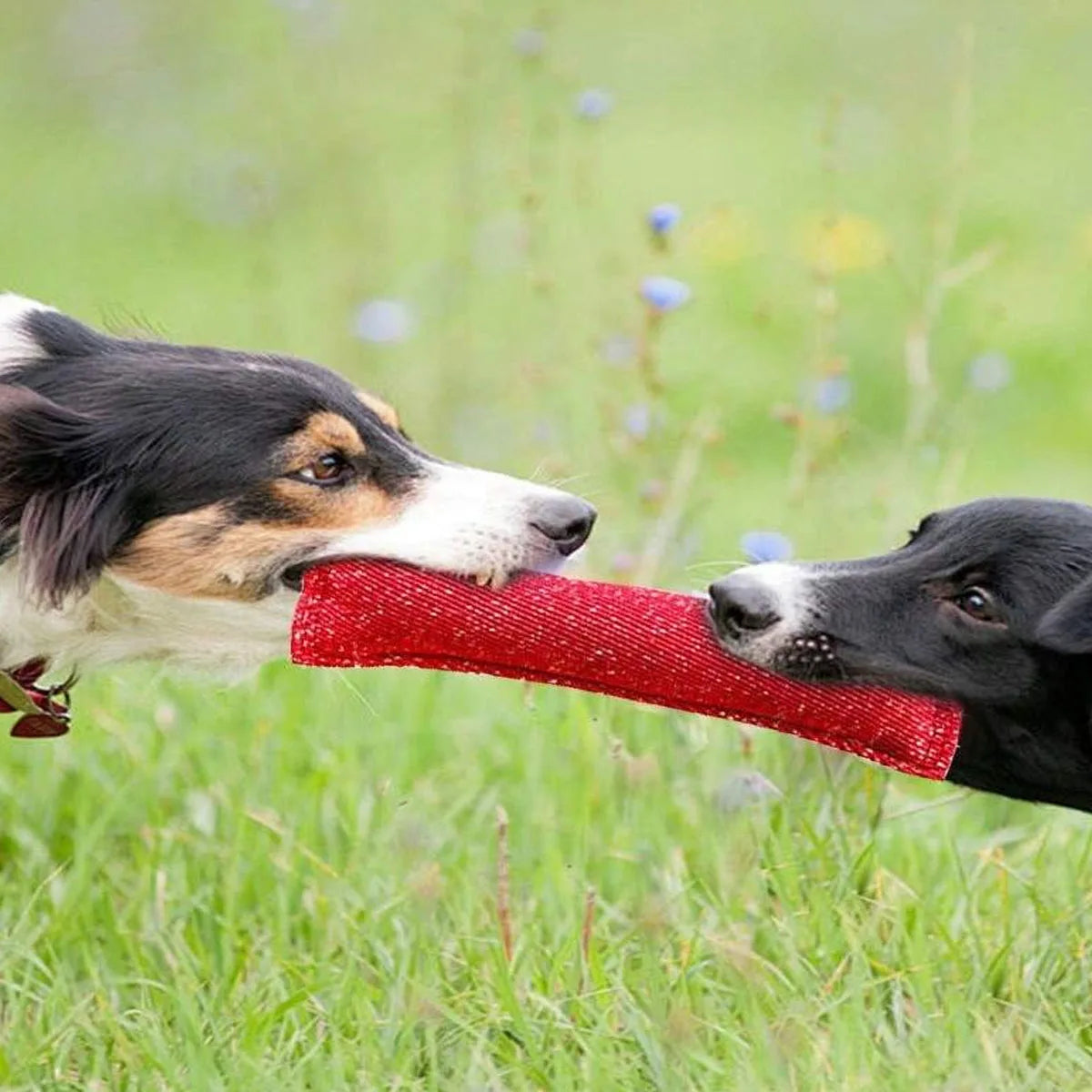 1pc-Dog Tug of War Toy Outdoor Tug of War Puppy Training Chew Pillow Best for Tug of War, Puppy Training Interactive Games