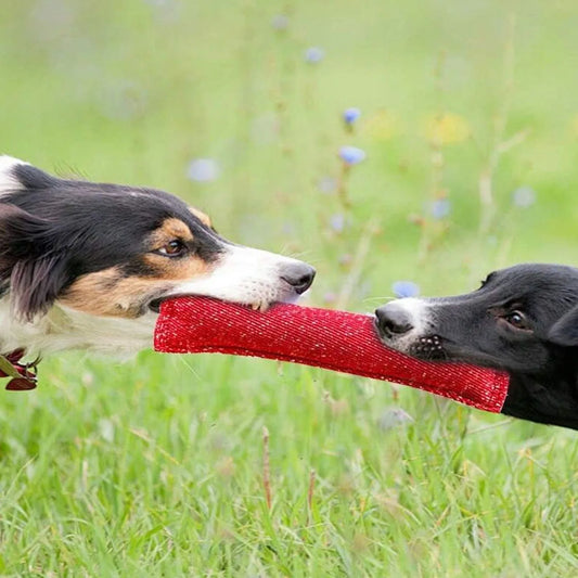 1pc-Dog Tug of War Toy Outdoor Tug of War Puppy Training Chew Pillow Best for Tug of War, Puppy Training Interactive Games