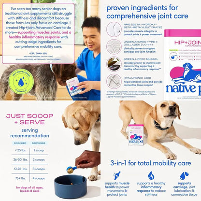 Advanced Care - Hip & Joint Supplement for Dogs - Supports Joints, Cartilage, Muscles & Anti-Inflammatory with HMB, UC-II Collag