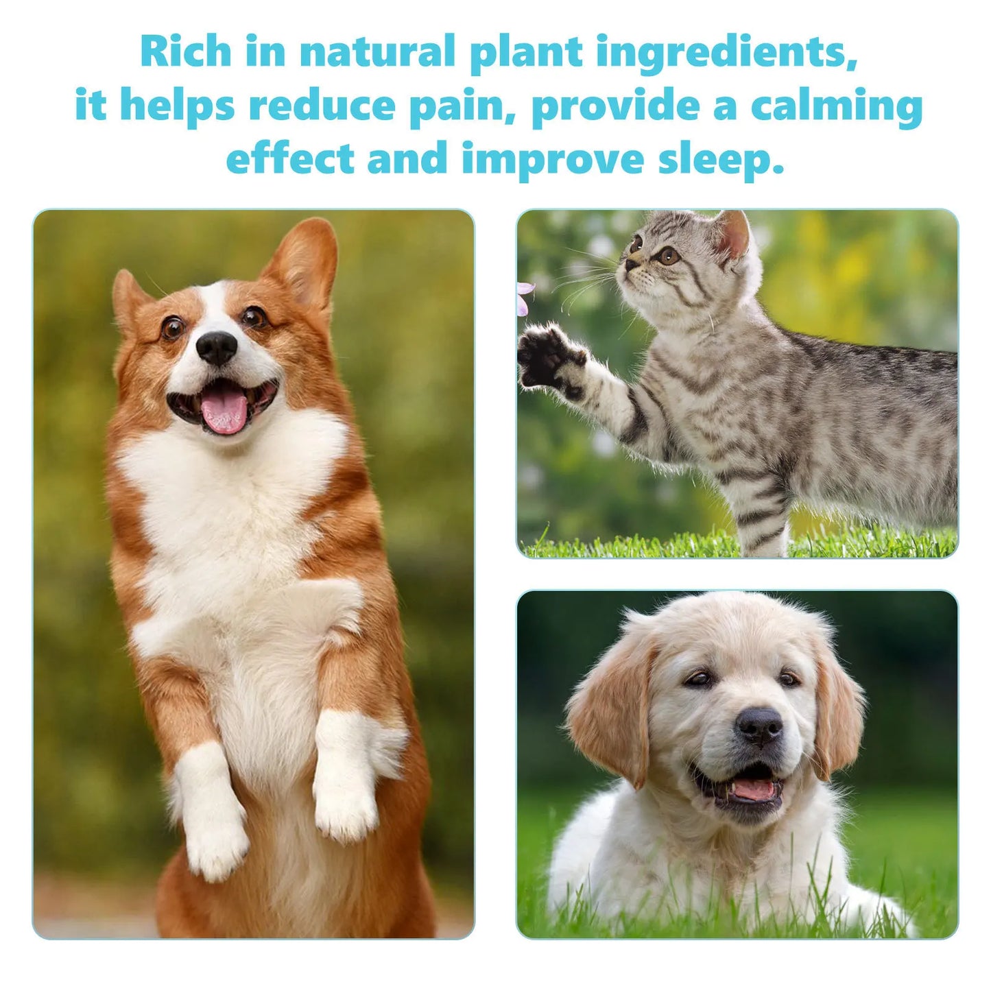 Dog Joint Glucosamine Drop Joint Hip Relief Joint Care Supplement Arthritis Deformities Repair Condition Bone Pet Body Care Drop