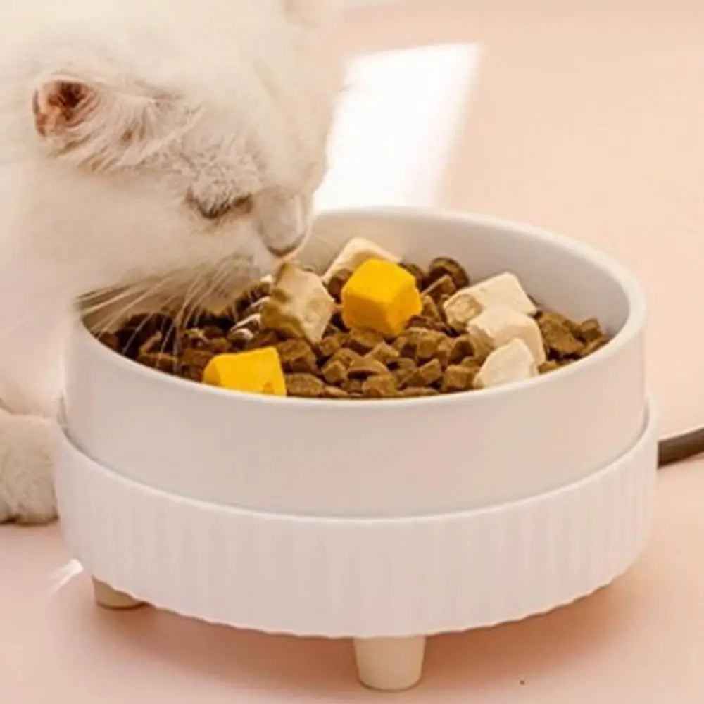 Pet Water Dispenser Heated Pet Water Bowl Thermal Pet USB Dog Dispenser Bowl Heated Rechargeable Cat Food Drinking Supplies