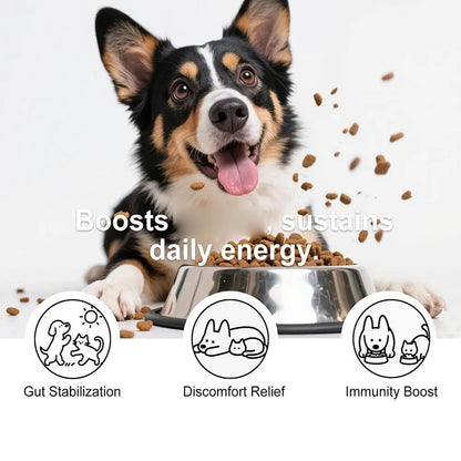 1/3PCS Dog Gut Health Powder 100g Probiotic Intestinal Support Bacon Flavor Chicken Meal Digestive Aid Joint Comfort Immune Care