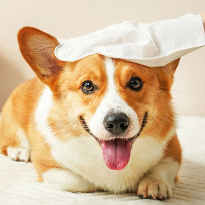 Disposable Waterless Pet Cleaning Gloves – 2-in-1 Massage & Grooming Mitts Pet Wash Free Pet Wipes