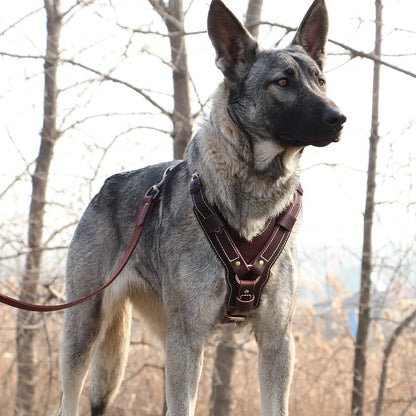Durable Genuine Leather Dog Harness Large Dog Harness Vest Adjustable Strap for German Shepherd Labrador Husky Walking Training
