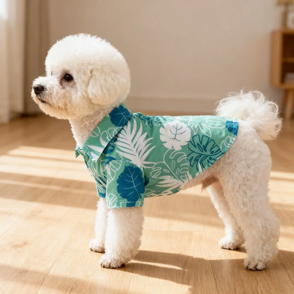 Cat Flower Shirt, Lightweight Spring and Summer Anti-static Wool, Persian Blue Gradient, Dog and Cat Pet Clothing