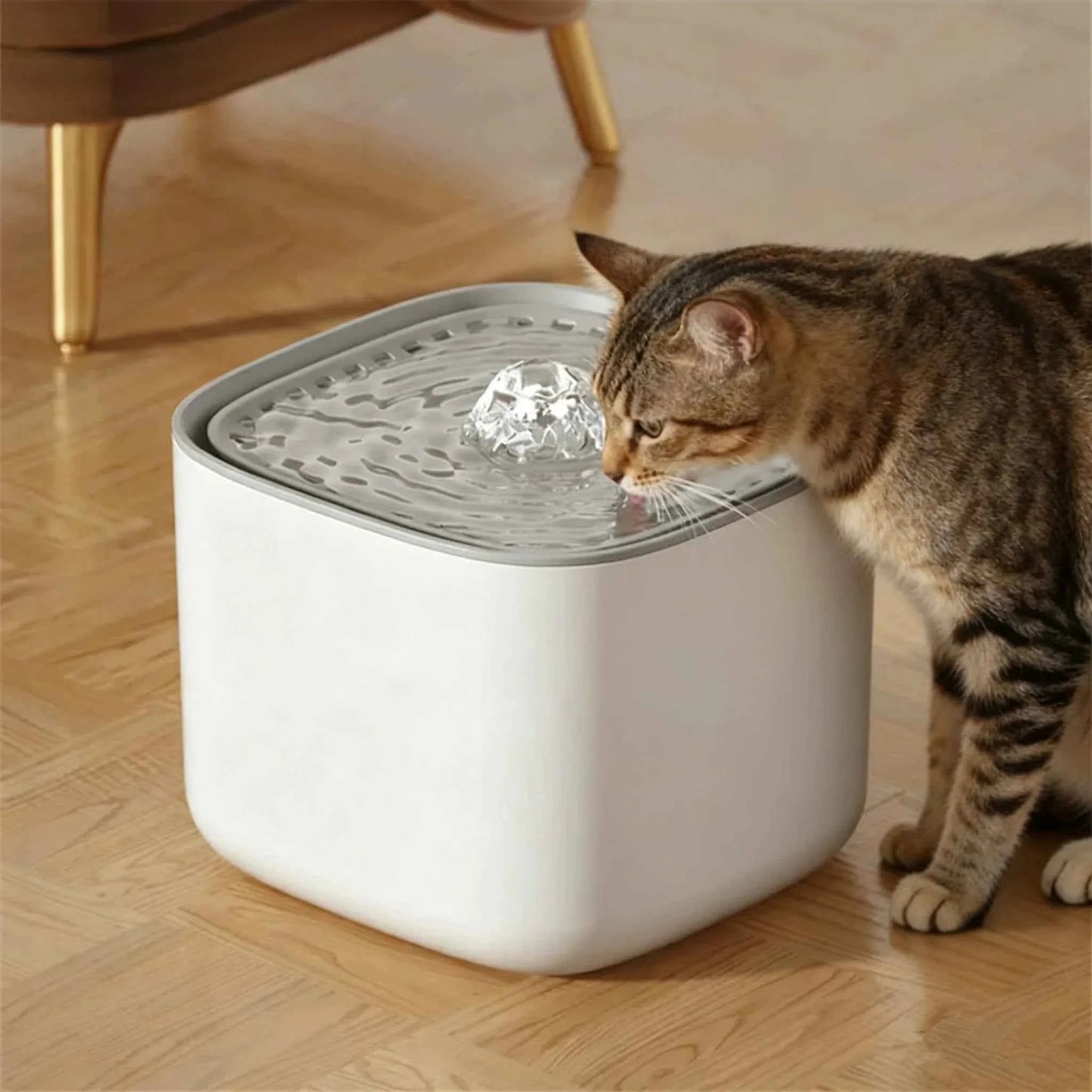 3L Cat Water Fountain Auto Recirculate Filter Large Capacity Filtring Cat Water Drinker USB Electric Mute Cats Water Dispenser