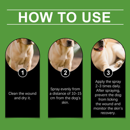 Yegbong Dog Skin Spray – Thoughtful protection, gentle and fast-acting care for skin discomfort, clean and comfortable spray