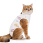 Cat After Surgery Anti Licking Breathable Cat Clothes Surgery Recovery Suit Female Cat Spay Recovery Suit Kitten Onesie for Cats