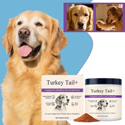 Bacon Flavor Dog Probiotic Powder Gut Flora Balance Digestive Aid Intestinal Health Care For Puppy Adult Dogs