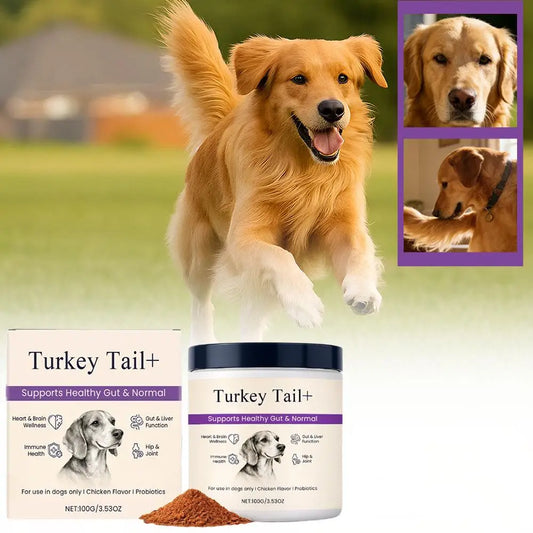Dog Probiotic Intestinal Powder Gut Care Digestive Health Immune Support Chicken Beef Flavor Pet Nutrition Supplement