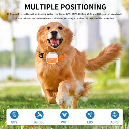 4G GPS Precision Positioning For Pets Dogs Cats Realtime GPS Tracking Electronic fence App Based Wireless Dog Fence Collar