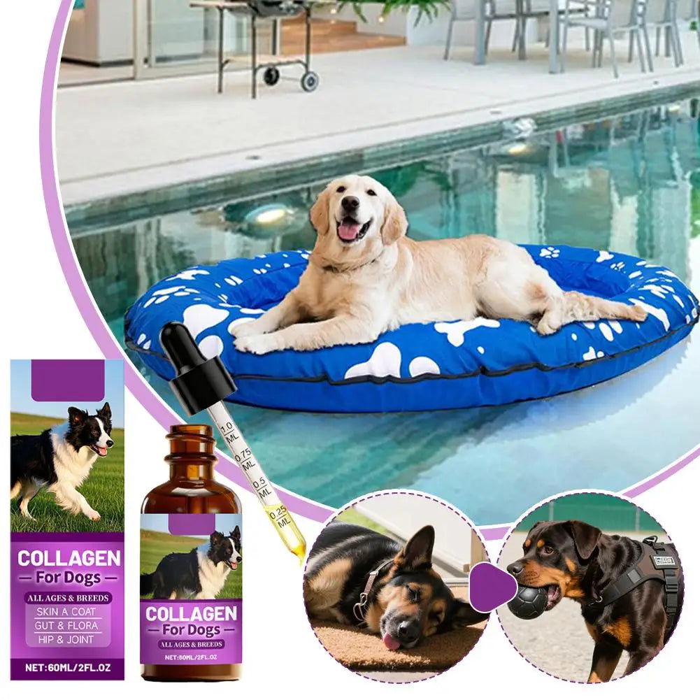 Dog Collagen Absorbable Drops Pet Cleaning & Nutritional Care - Skin Hair Intestinal Joint Health Support Daily Pet Supplement