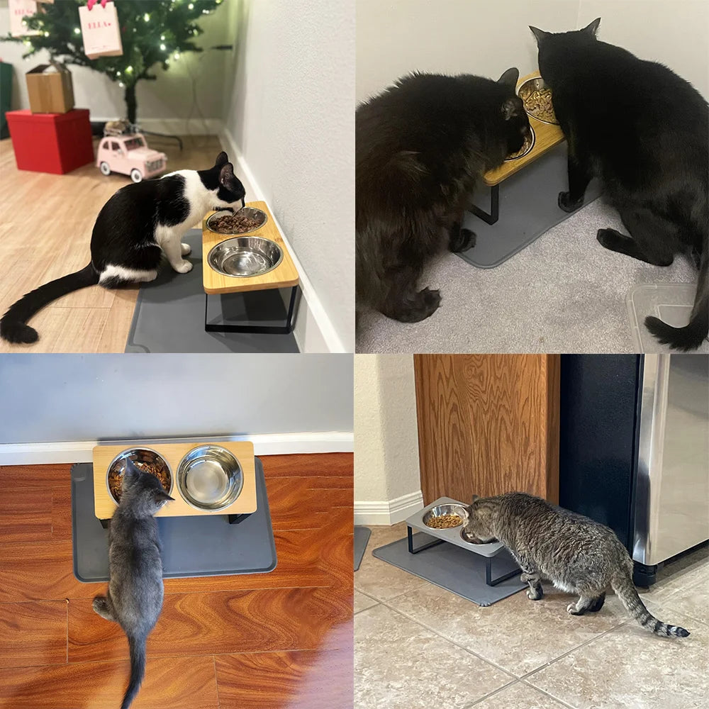 15° tilted heightened pet bowl heightened dog bowl with stainless steel food bowl feeder suitable for cats and puppies