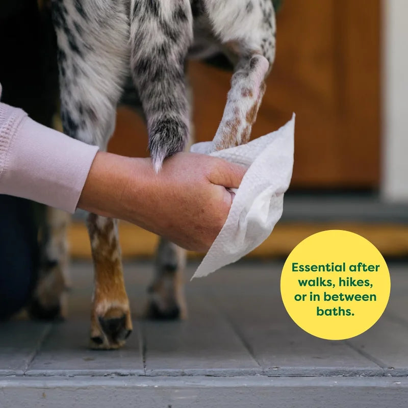 Pet Wipes for Dogs and Cats, Hypoallergenic, Cleaning and Hydrating Unscented, 100 Count