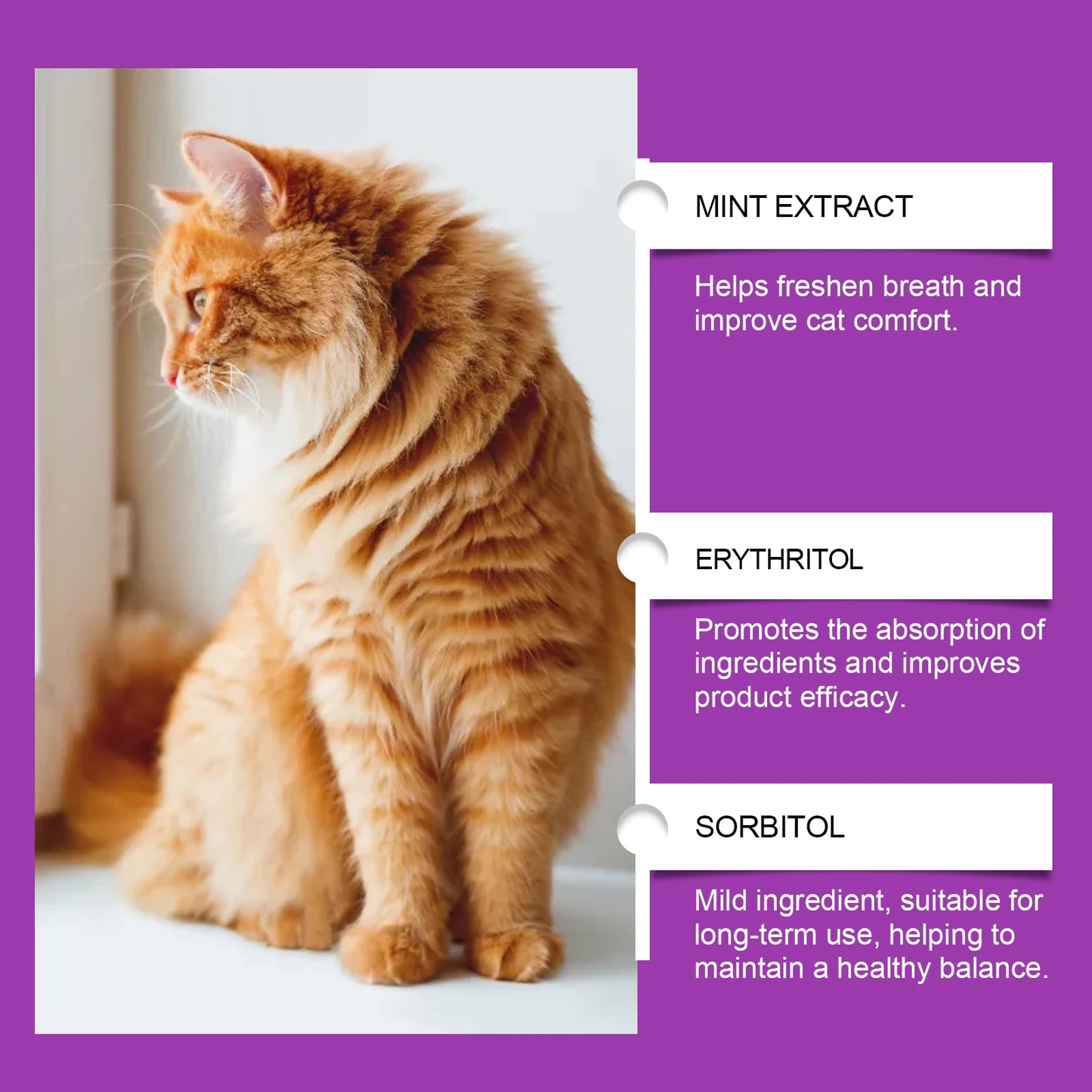 15-in-1 Pet Cat Vitamin Drops Boost Cats' Immune System, Resist Diseases Care Pets' Discomfort Daily Care Vitamin Supplement