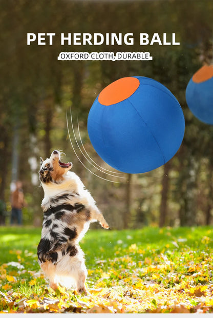 Outdoor Dog Toy Inflatable Big Ball Interactive Games Balls Pet Golden Relieve Fretful Boredom Country Dog Corgi Training Ball