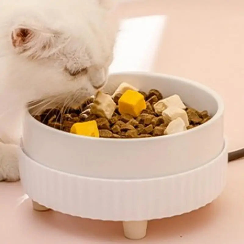 Pet Water Dispenser Heated Pet Water Bowl Thermal Pet USB Dog Dispenser Bowl Heated Rechargeable Cat Food Drinking Supplies
