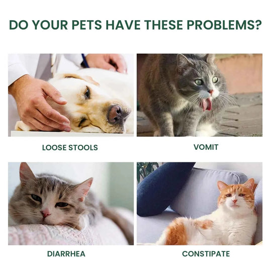 Probiotic Drops to Boost Pet Immunity, Relieve Discomfort in Cats and Dogs, Oral Care for Pets, Bad Breath Solution