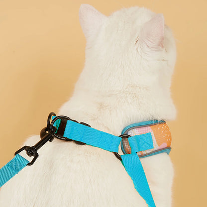 New Arrives Adjustable Soft Mesh With Fashionable Design Pet Harness And Leash Set