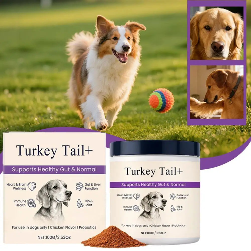 Bacon Flavor Dog Probiotic Powder Gut Flora Balance Digestive Aid Intestinal Health Care For Puppy Adult Dogs